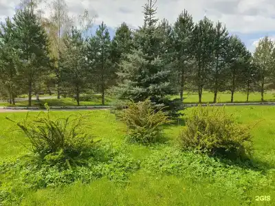 Углич - 36