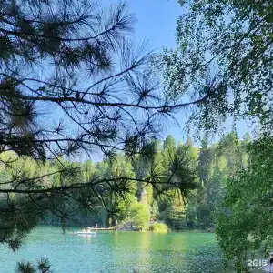 Бурундуки - 18