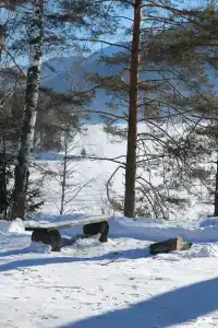 Усадьба Золотая бухта - 28