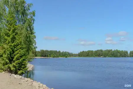 Jarvi - 4