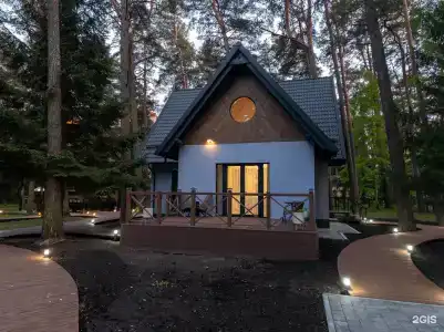 Кедр - 19