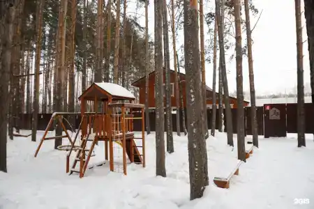 Буревестник - 93