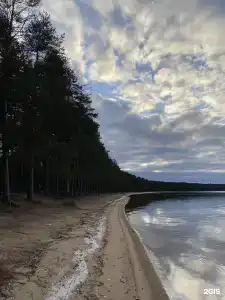 Сосновый Берег - 57