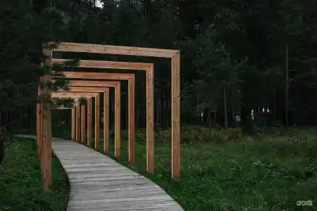 Pinewood resort & SPA - 16