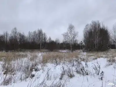 Восемь обезьян - 87