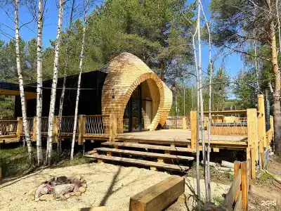 Кедр Глэмп - 73
