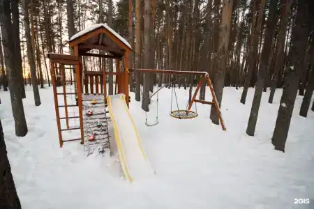 Буревестник - 85
