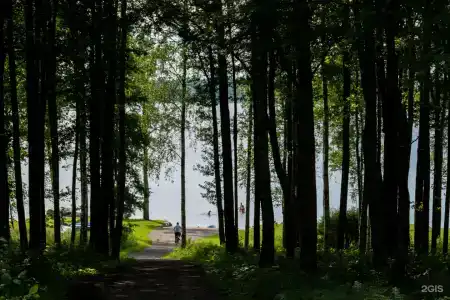 Журавлевские дачи - 6