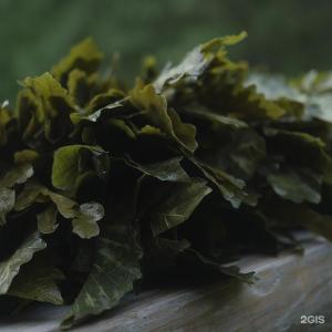 Paramono - 83