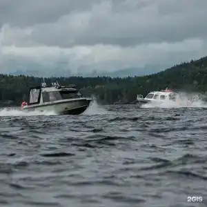 ВВ - 12
