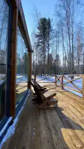 Снежные гуси - 36
