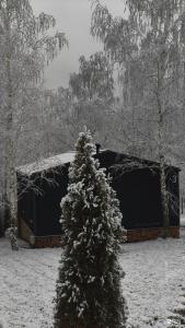 Устали - 43