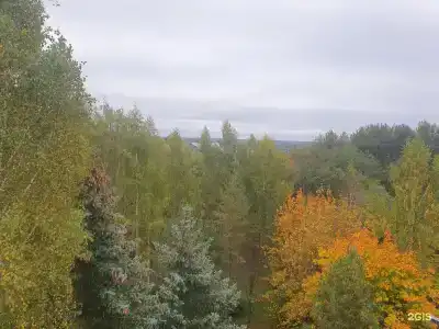Углич - 100
