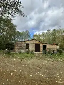 Сытый Кот - 15