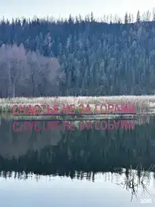 БораБора - 43