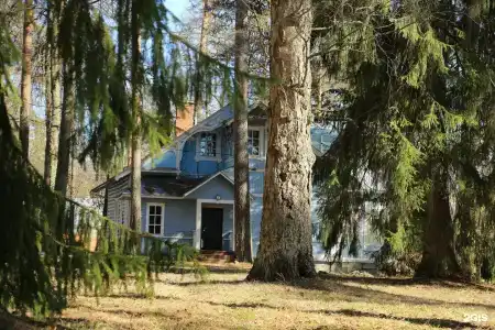 Vyritsa Village - 78