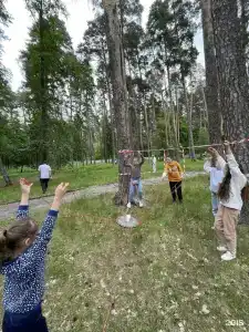 Vavellit - 33