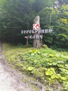 Эдельвейс - 43