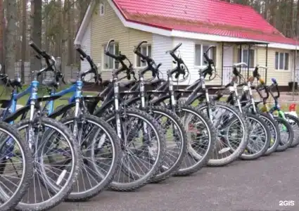 Сосновый бор - 13