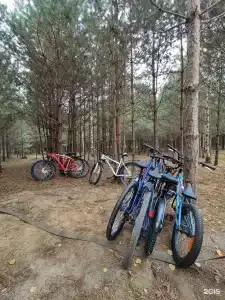 Глэмпинг Эко-отель Forest - 64
