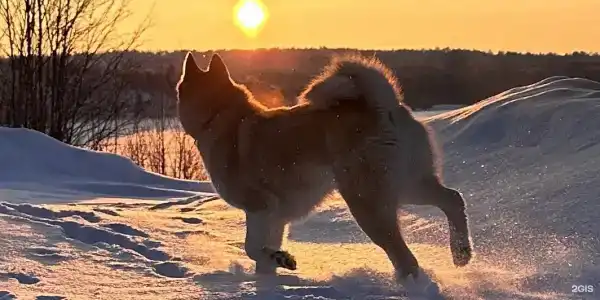 Хутор Марья - 6
