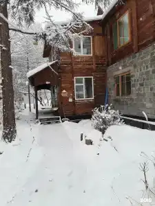 Грушанка - 8