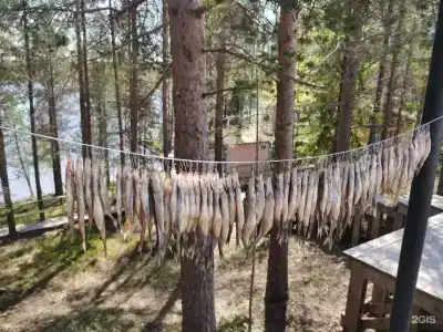 Огни Имандры - 80