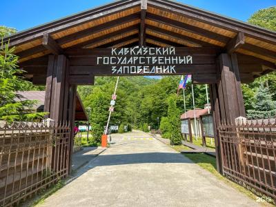 Лаура дом 1 - 40