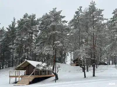 Маламут Ленд - 35