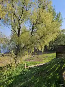 Волжские Зори - 6
