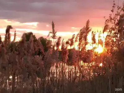 Кладовая Солнца - 14