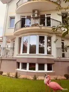 Фламинго - 3