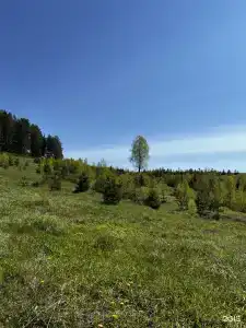 Biathlon Village - 27