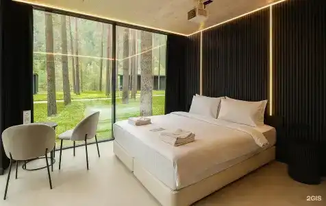 Pinewood resort & SPA - 2