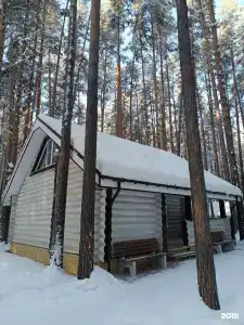 ДухЛес - 80