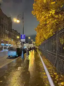 Белинский - 11