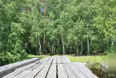 Комета - 43
