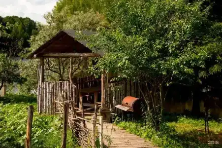 Сафари Парк - 24