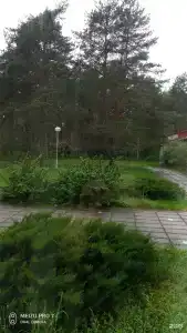 Череха - 52