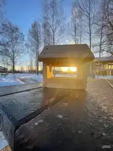 Восемь обезьян - 66
