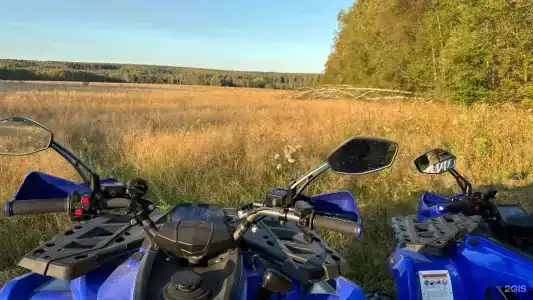 Чернолесье - 60