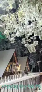 Эко Шале Чегет - 21