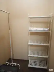 Турист - 31