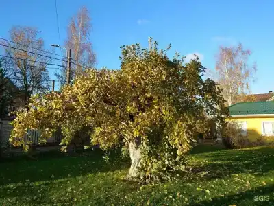 В 612 - 22