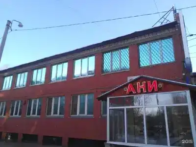 Ани на Софийской - 1