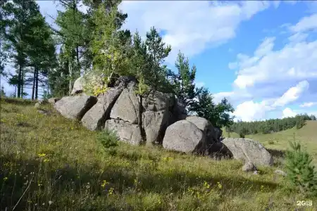 Василёк - 40