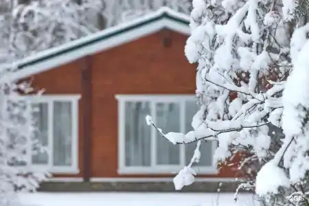 Вековые Сосны - 24