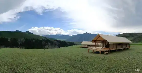 Эдельвейс глэмп - 7
