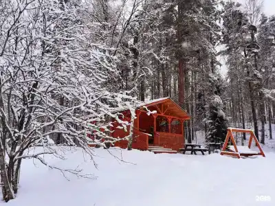 Снегурия - 73