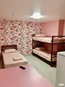 1000 М2 - 0